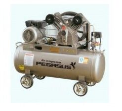 Máy nén khí PEGASUS TM-V-0.17/8-100L