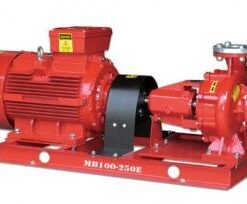 Máy bơm trục ngang TECO MB80-250E