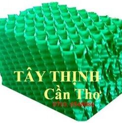Đệm vi sinh Tây Thịnh TT01