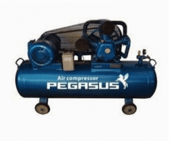 Máy nén khí dây đai PEGASUS TM-W-1.0/8-500L