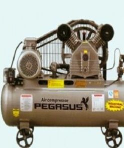 Máy nén khí chạy dầu PEGASUS TM-V-1.05/12.5