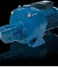 CS AC2M250 (bơm hút giếng sâu)