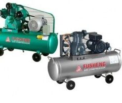 Fusheng D4