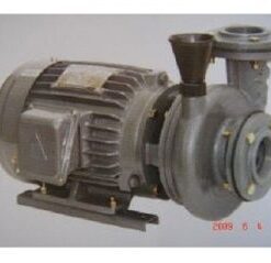 Máy bơm ly tâm trục ngang dạng xoáy HVP250-11.5 2